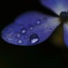 雨玉