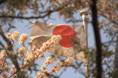 国歌斉唱