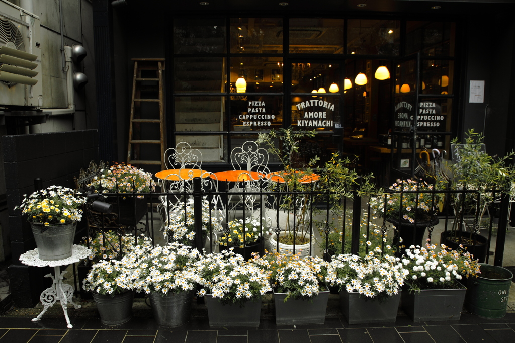 Welcome flowers