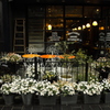Welcome flowers