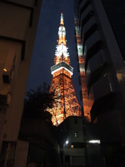 DSCF1766