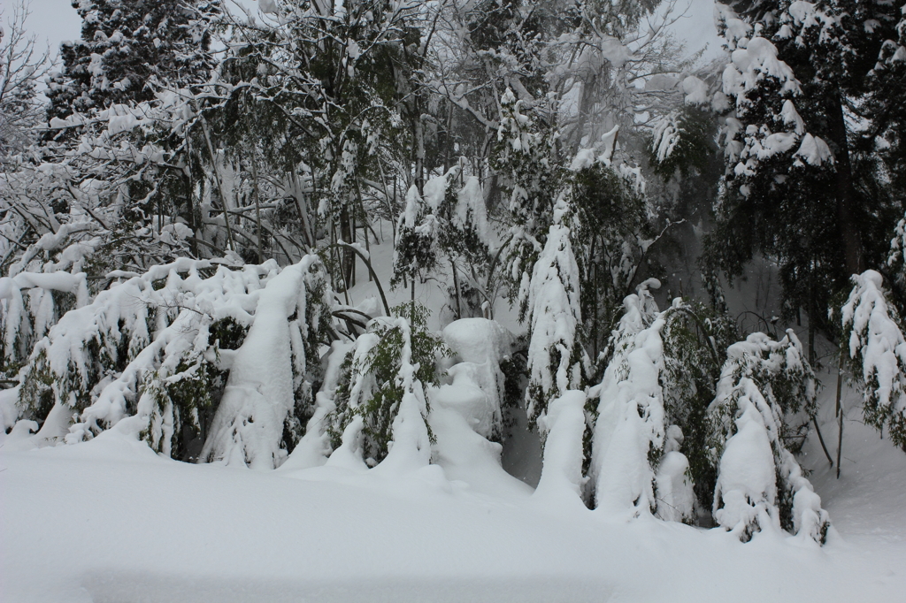 雪の重み