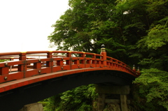 サル