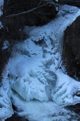 氷竜、此処に君臨す