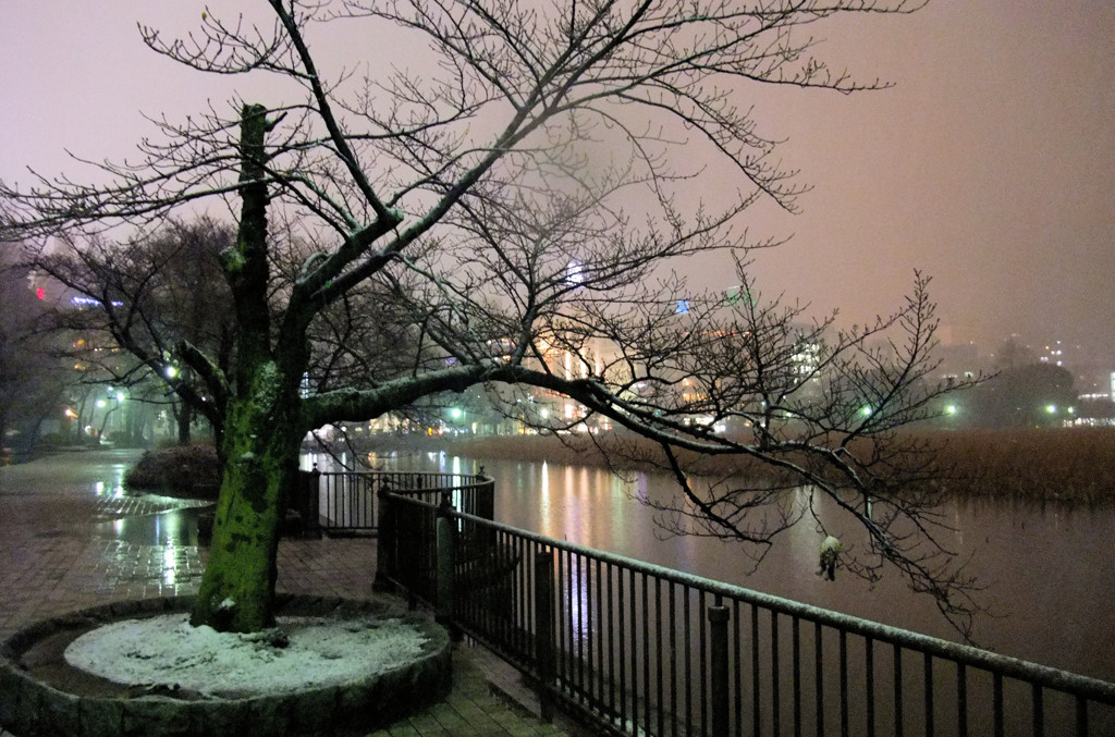 雪に煙るセーヌの畔