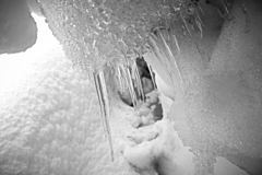 氷の牙