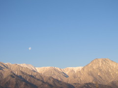 朝の風景①