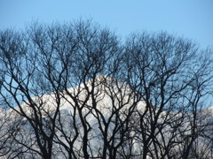 朝の風景⑤