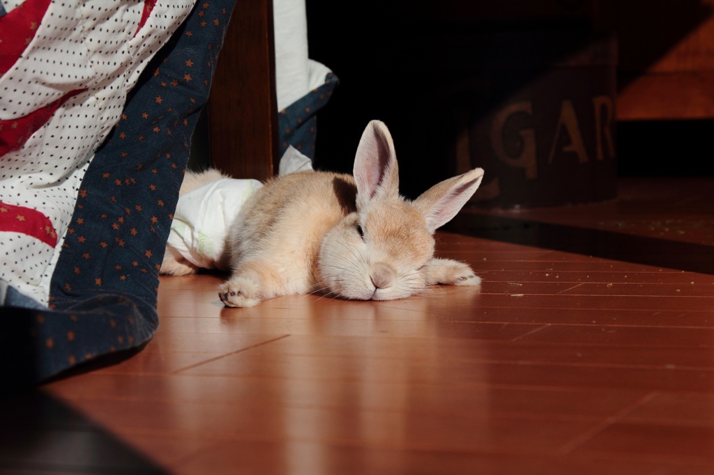 今年もこんな感じで…