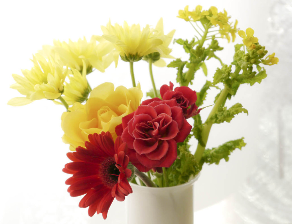 妻の誕生日には花を(Adobe RGB)