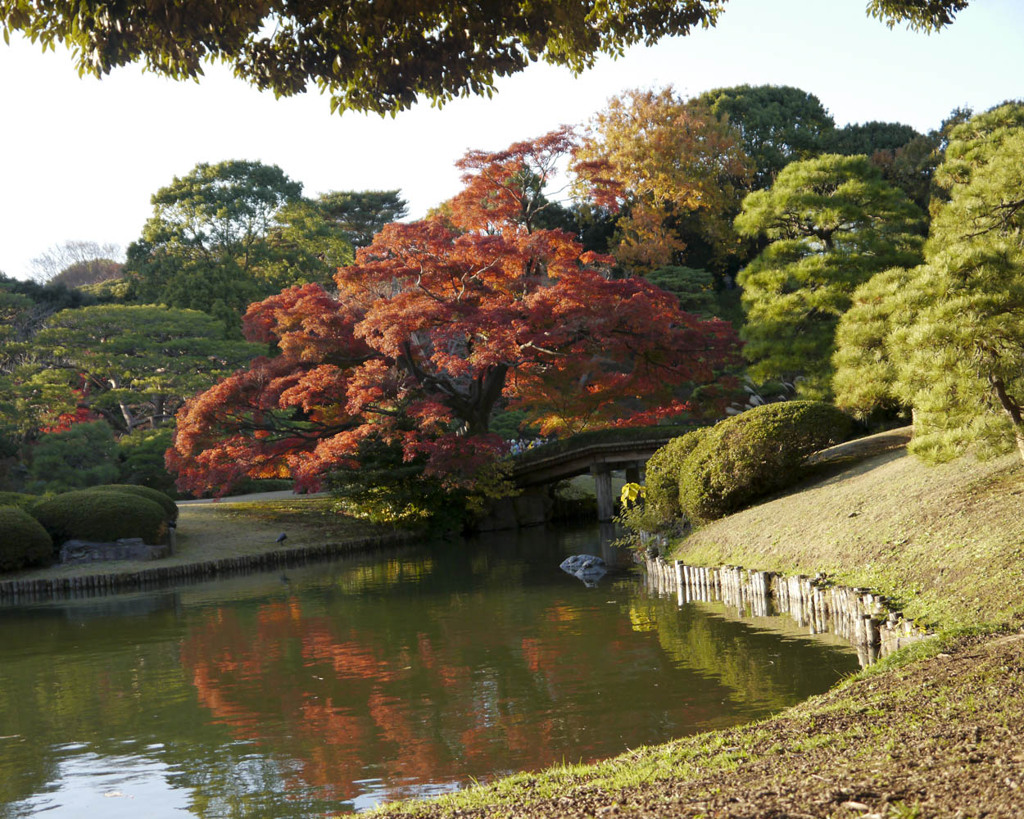 田鶴橋と紅葉