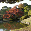 田鶴橋と紅葉