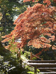 吟花亭跡の丘を越えて振り向くと