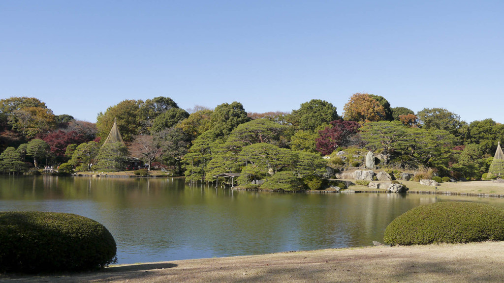 今年も六義園で紅葉狩り2