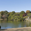 今年も六義園で紅葉狩り2