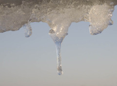 朝日を浴びて溶ける氷柱