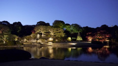 六義園　ライトアップ遠景1