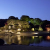 六義園　ライトアップ遠景1
