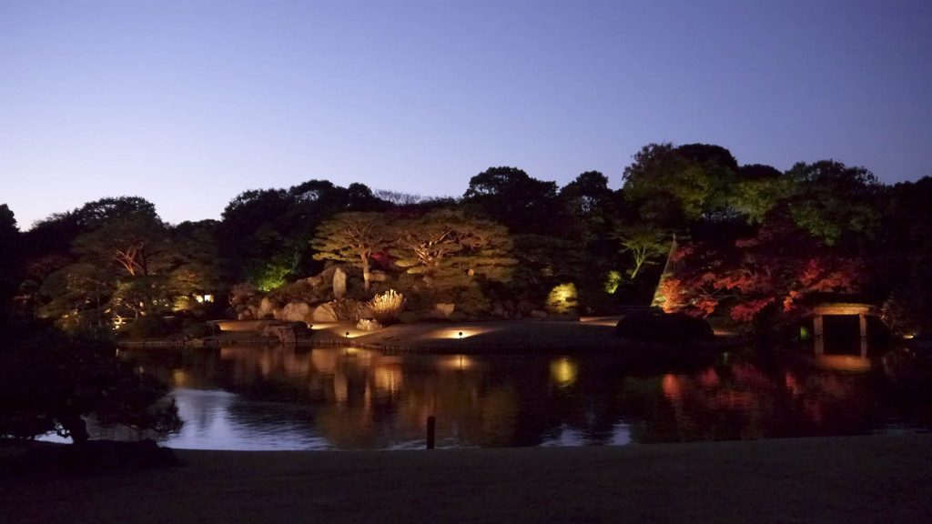 六義園　ライトアップ遠景2