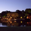 六義園　ライトアップ遠景2