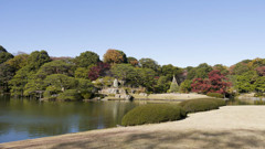 今年も六義園で紅葉狩り1