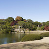 今年も六義園で紅葉狩り1