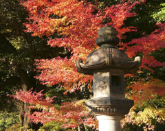石灯籠と紅葉
