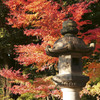 石灯籠と紅葉