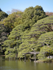 中之島の船着き場1