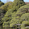 中之島の船着き場1