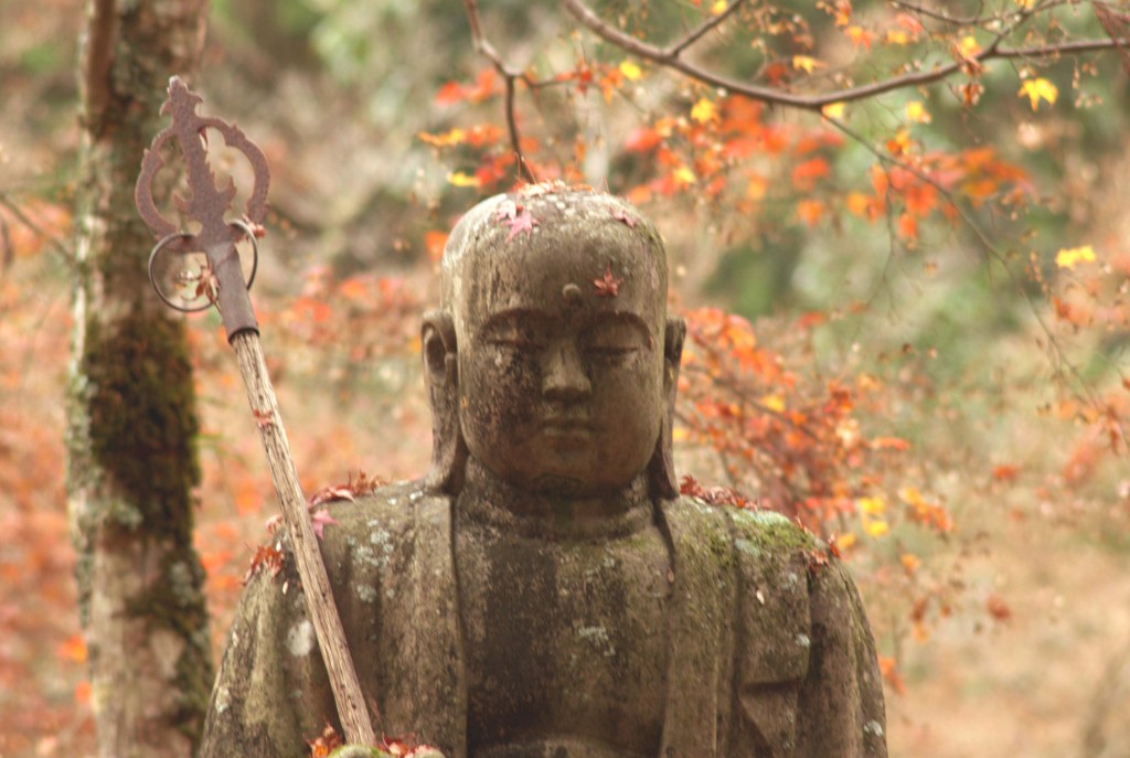 おいっ、きさま、額の紅葉掃わんかい