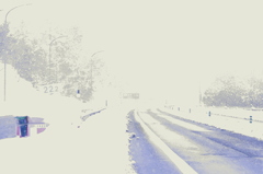 雪国まいったけ