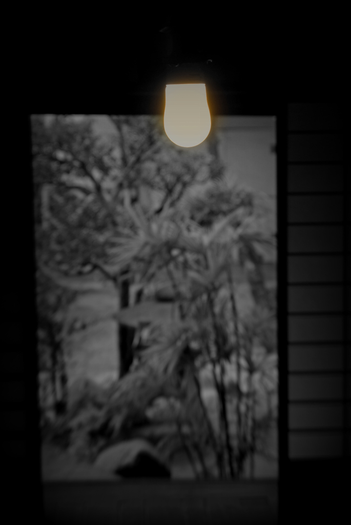 裸電球
