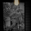 裸電球