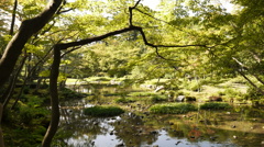 木陰の向こうに