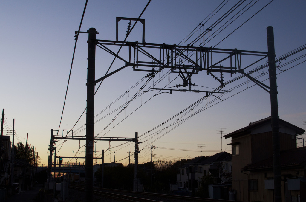 夜明けに拓く、私の道（タオ）