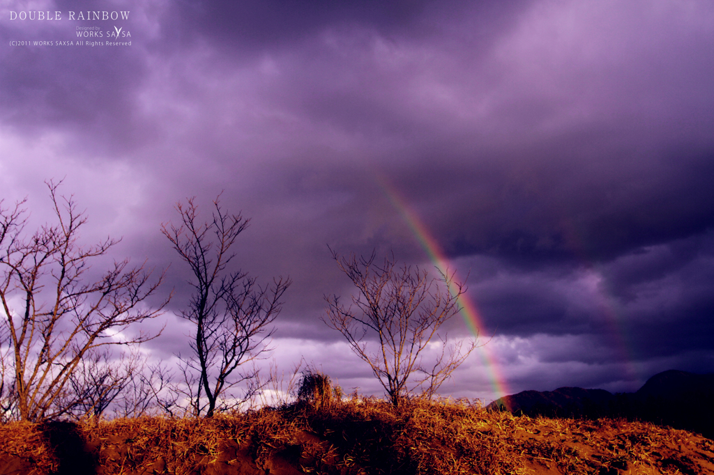 DOUBLE RAINBOW