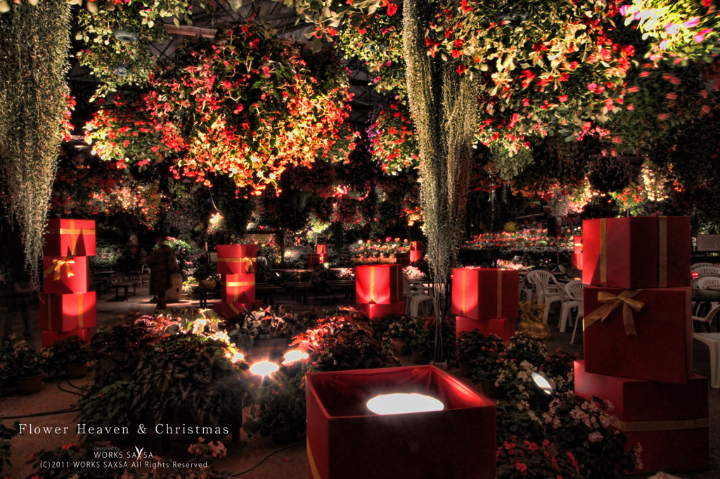 Flower Heaven & Christmas