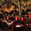 Flower Heaven & Christmas