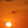 BEYOND the SUN