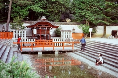 下鴨神社