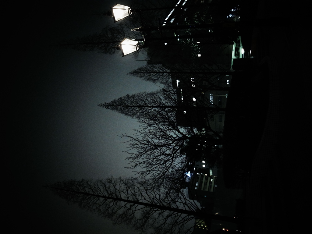 夜