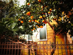 オレンジ色の家