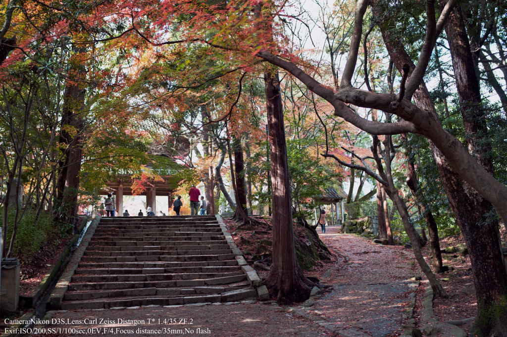 Approach of autumn☆