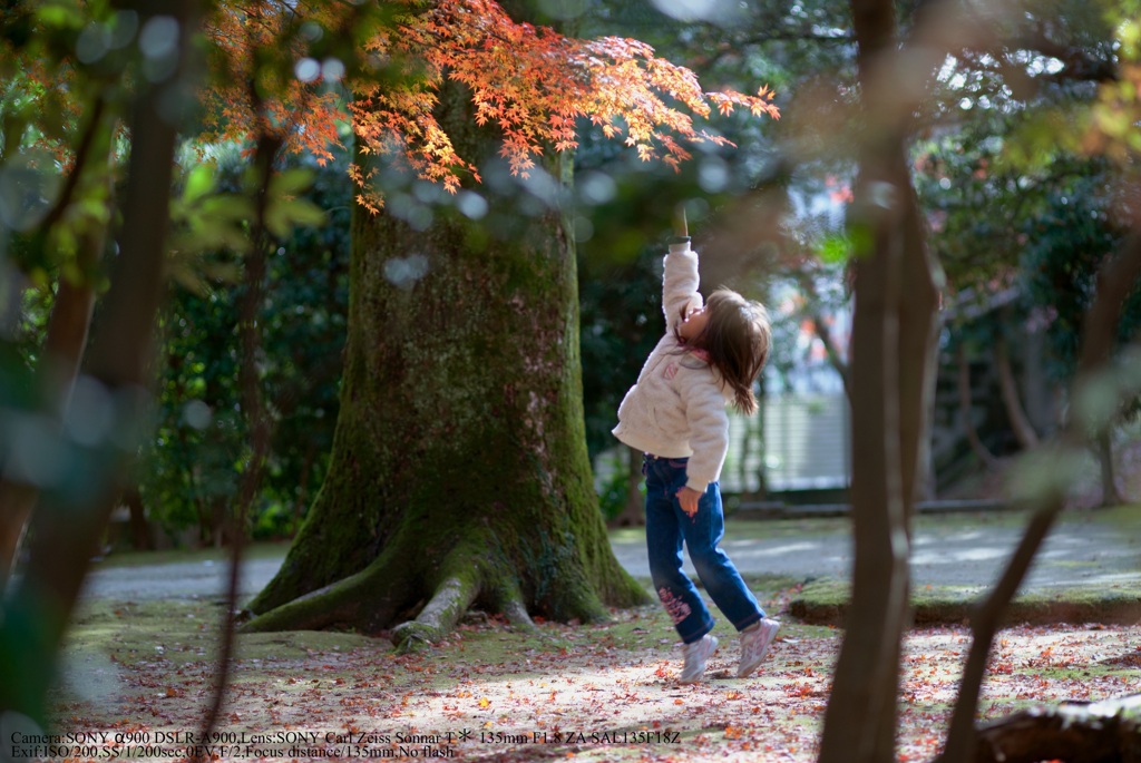 Vertical jump☆