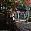 Autumn Entrance☆