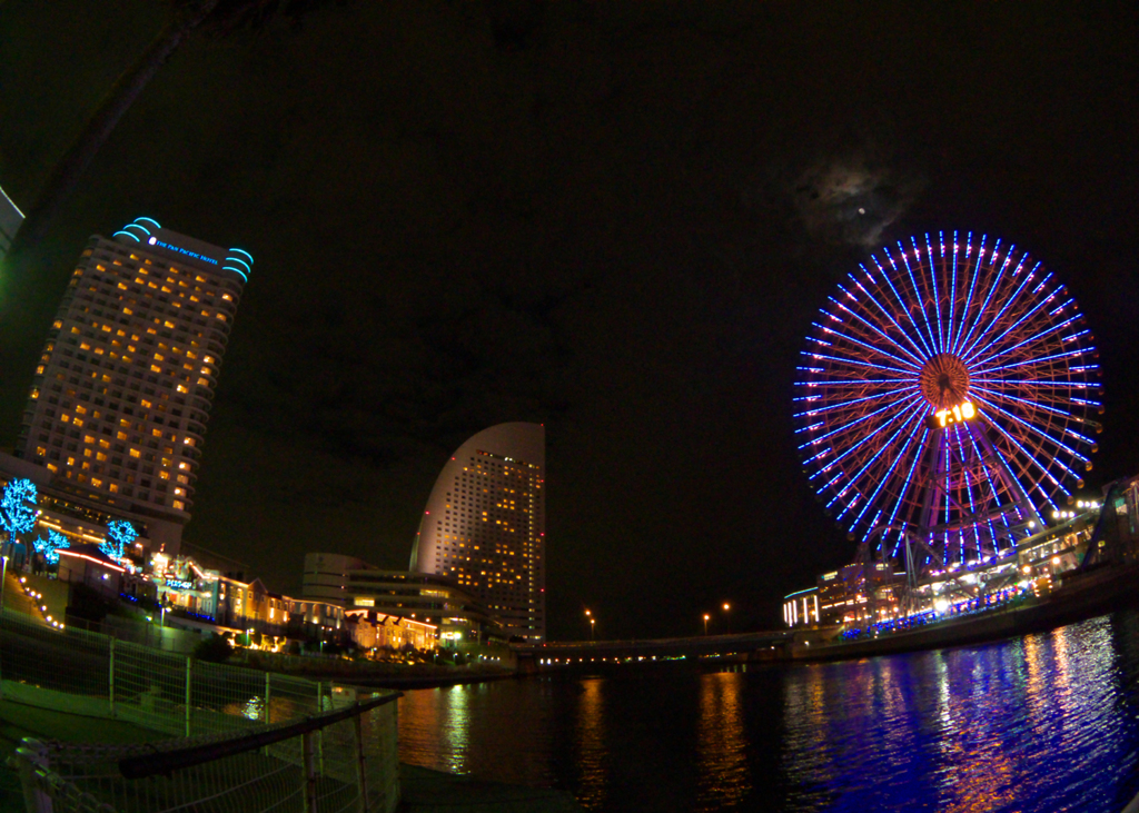 IMGP0020 (2)