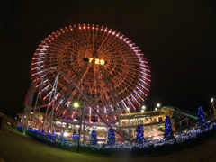 IMGP0049