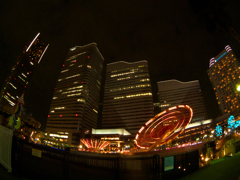 IMGP0021