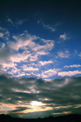 冬の空